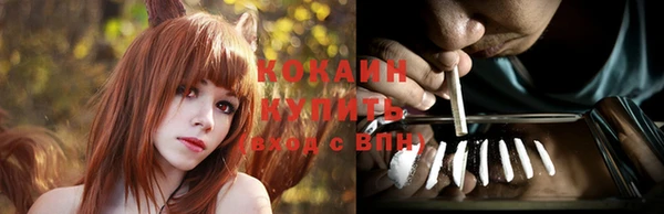 мдпв Заволжск