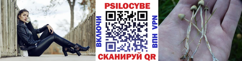даркнет официальный сайт  Зубцов  Галлюциногенные грибы мицелий  где купить наркотик 